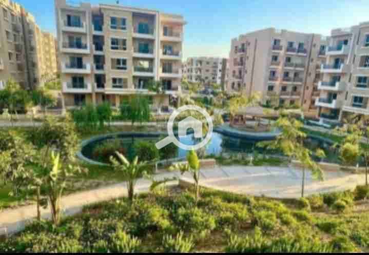 4 IMG_٢٠٢٥٠٩٢٧_١٧١٩٥٩. jpg