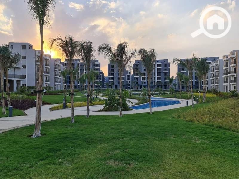 11 481083144_1782222302356266_4710383406357077998_n. jpg