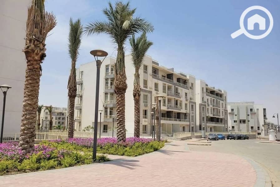 571228183_24731275359874272_1036961367919838717_n. jpg 571228183_24731275359874272_1036961367919838717_n. jpg