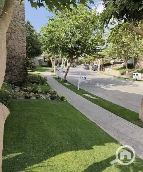 10 558101505_122212728314324825_423164479361905316_n. jpg