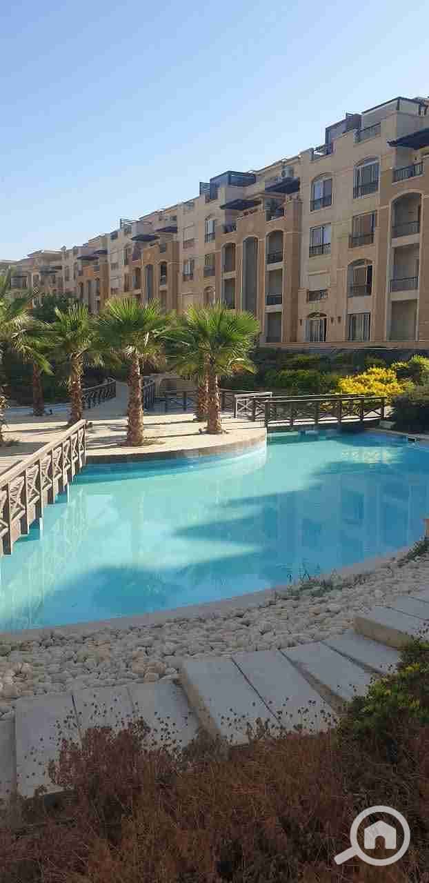 11 FB_IMG_1761733385196. jpg