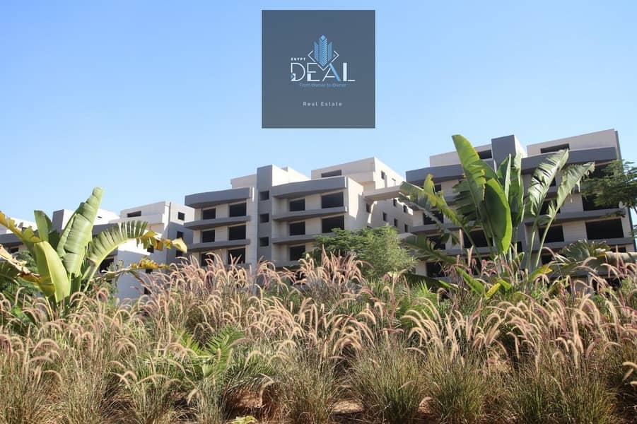 6 WhatsApp Image 2025-09-03 at 4.49. 31 PM. jpeg