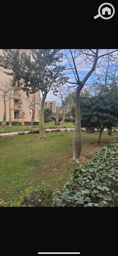 3 Bedroom Flat for Rent in New Cairo, Cairo - IMG_8245. png