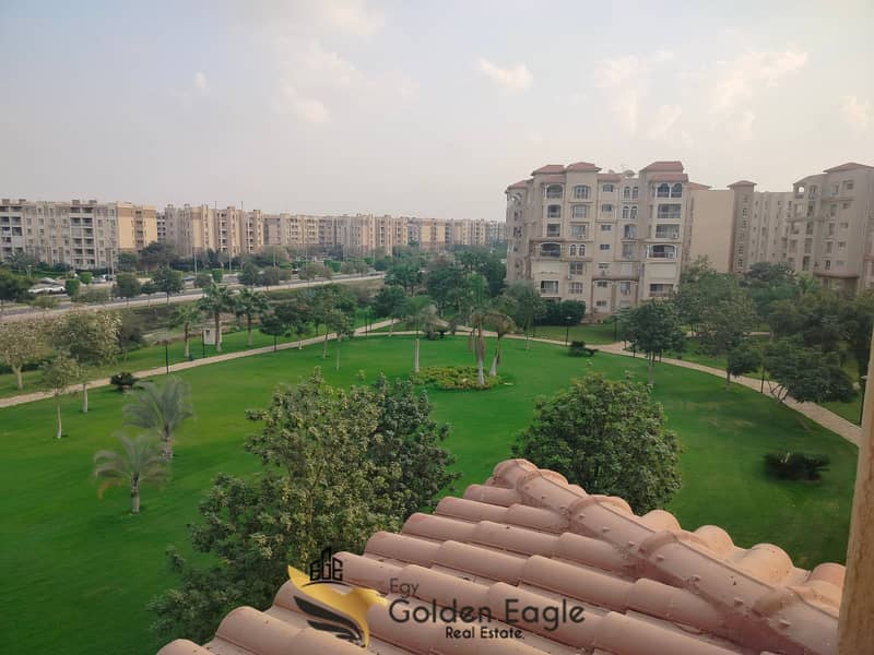 1000187550. jpg 1000187550. jpg