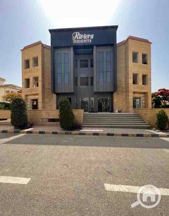 12 7c647502-f25f-4b16-8539-c4d162a4187d. jpg