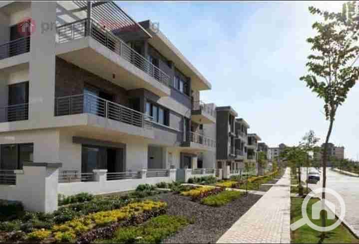 10 IMG_٢٠٢٥١٠٠٣_١٨٠٥٥٥. jpg