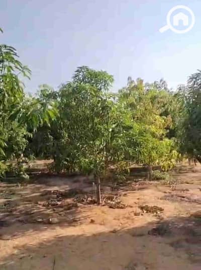 Land for Sale in 6th of October, Giza - 1000075473. jpg Land for Sale in 6th of October, Giza - 1000075473. jpg