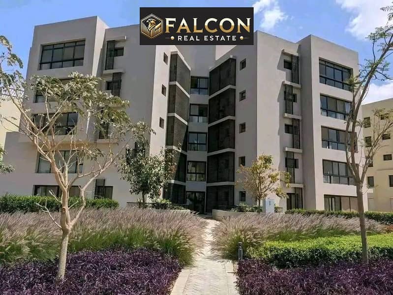 12 559011211_122140406738856624_4984829795656108846_n. jpg