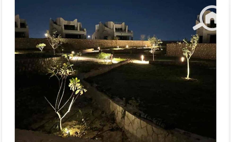 3 9d05d274-480d-4db5-abf6-912289cf1a13. jpg