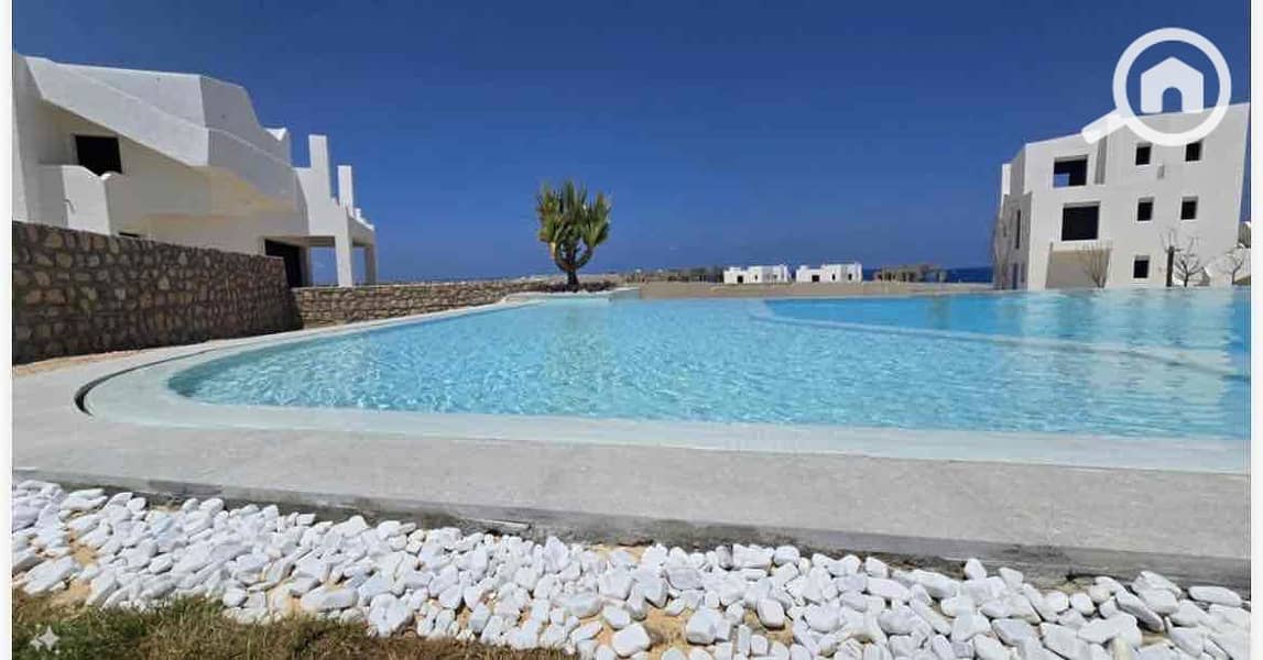 13 6893b87e-1e66-4c61-9913-9801b2db69fa. jpg