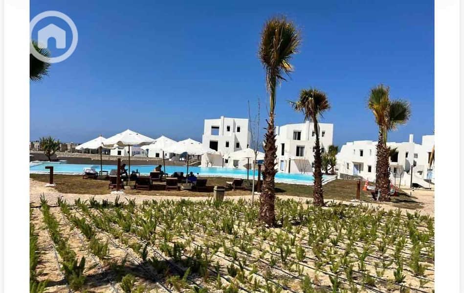 14 9a8a75aa-b87b-4581-a623-42d052d37208. jpg