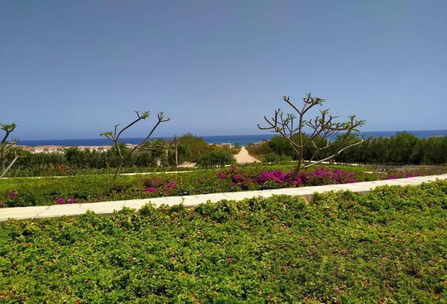 2 c7cd956f-f011-48cc-a304-d45bd59f5623. jpg