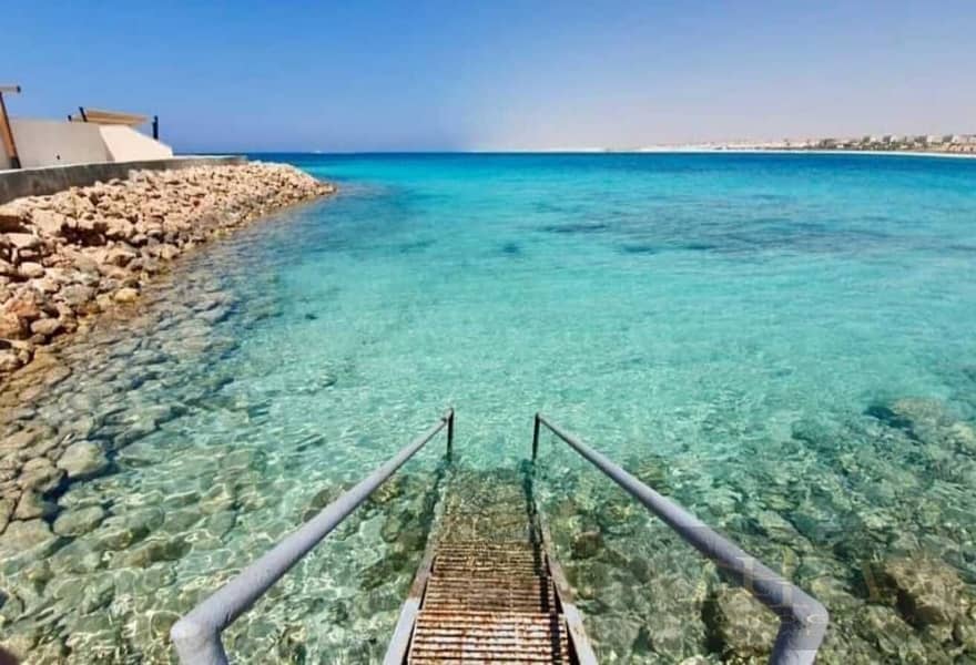 5 da9dba57-092e-45e6-9c34-e7d6de7310fc. jpg