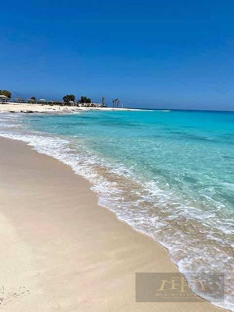 9 569521955_1566494848133438_4241842940237964370_n. jpg