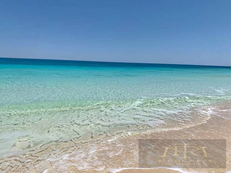 12 571172431_2015266572554079_6188264283251571296_n. jpg