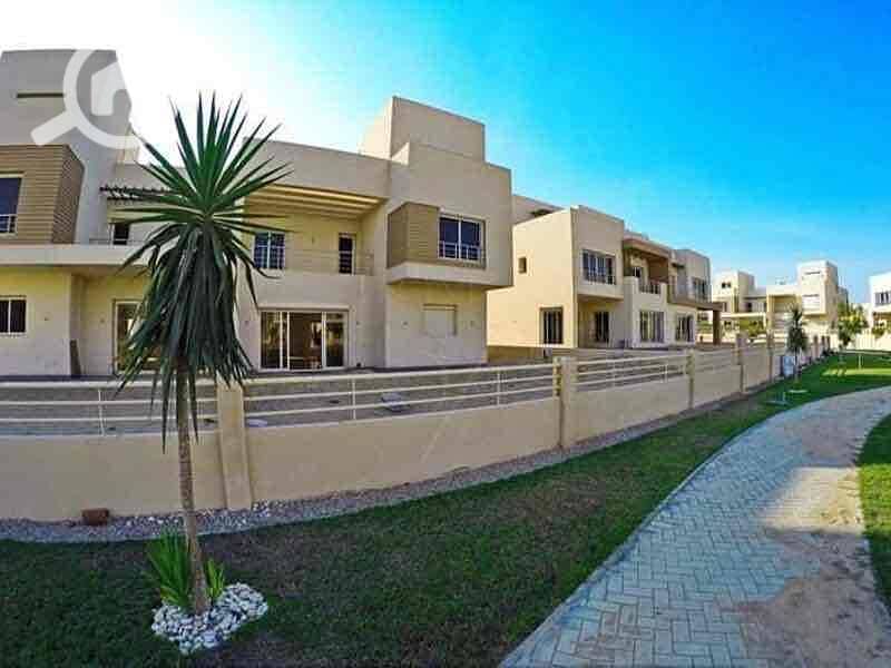 11 8ea5395b-4453-46ec-995d-0da271696778. jpg