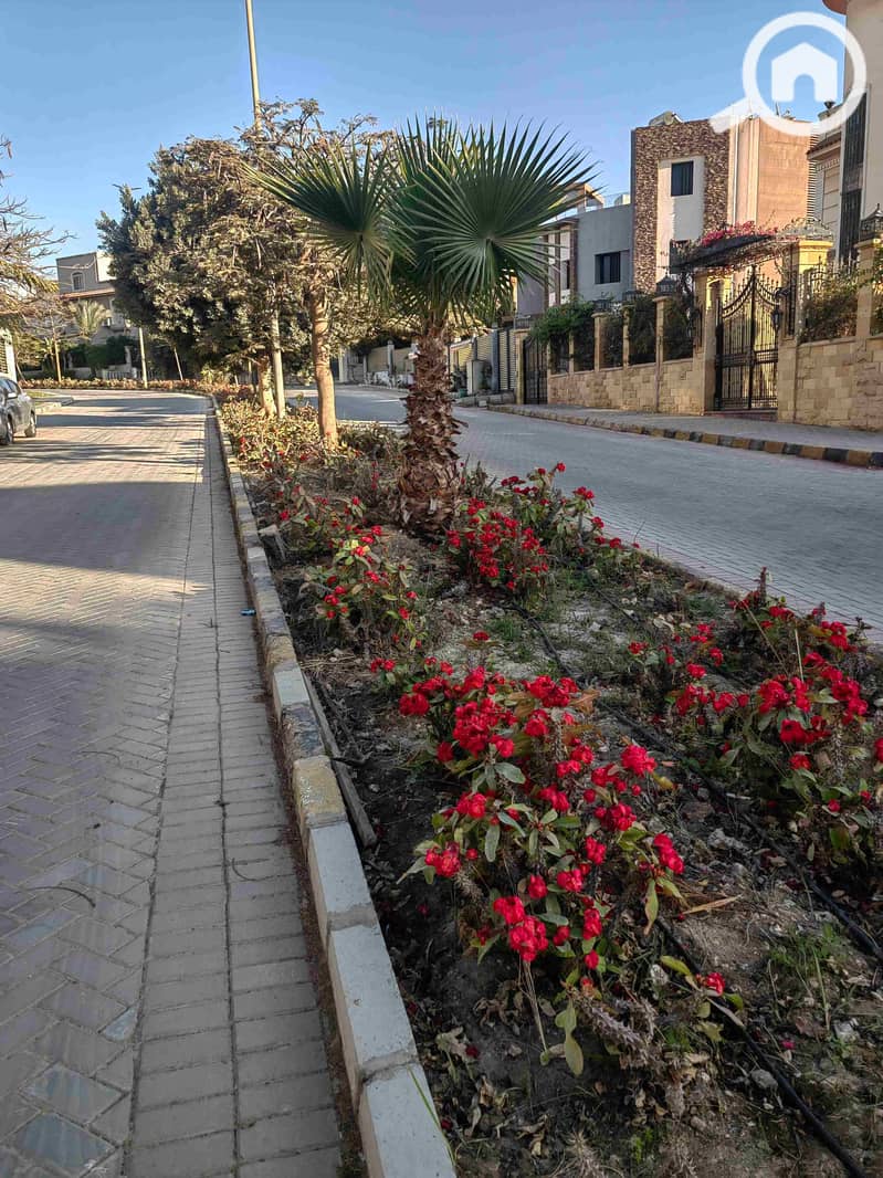 6 IMG_20250311_164437. jpg