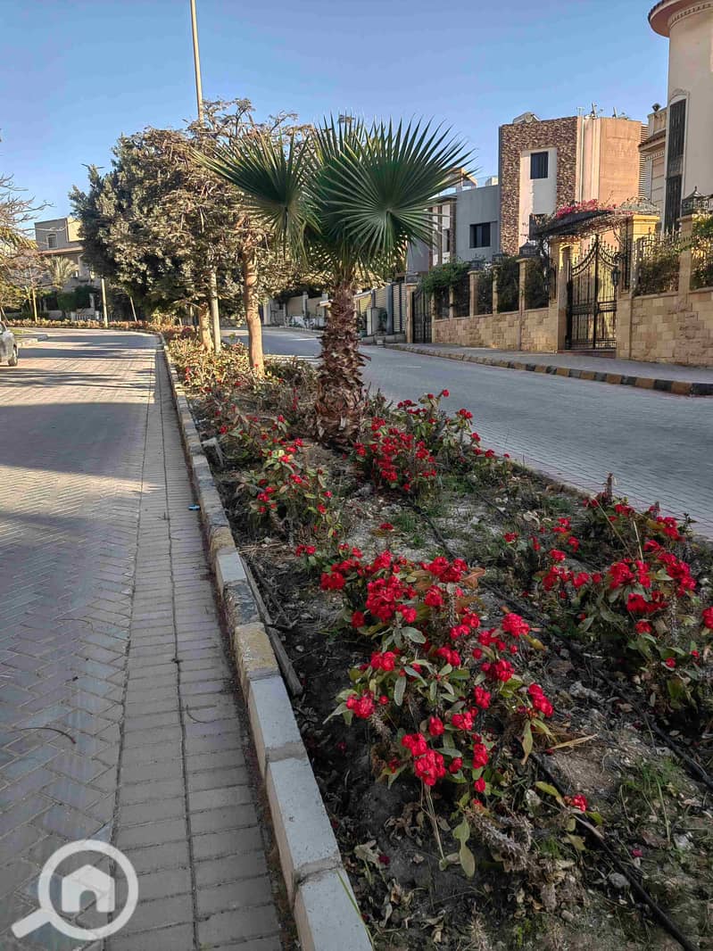 7 IMG_20250311_164442. jpg