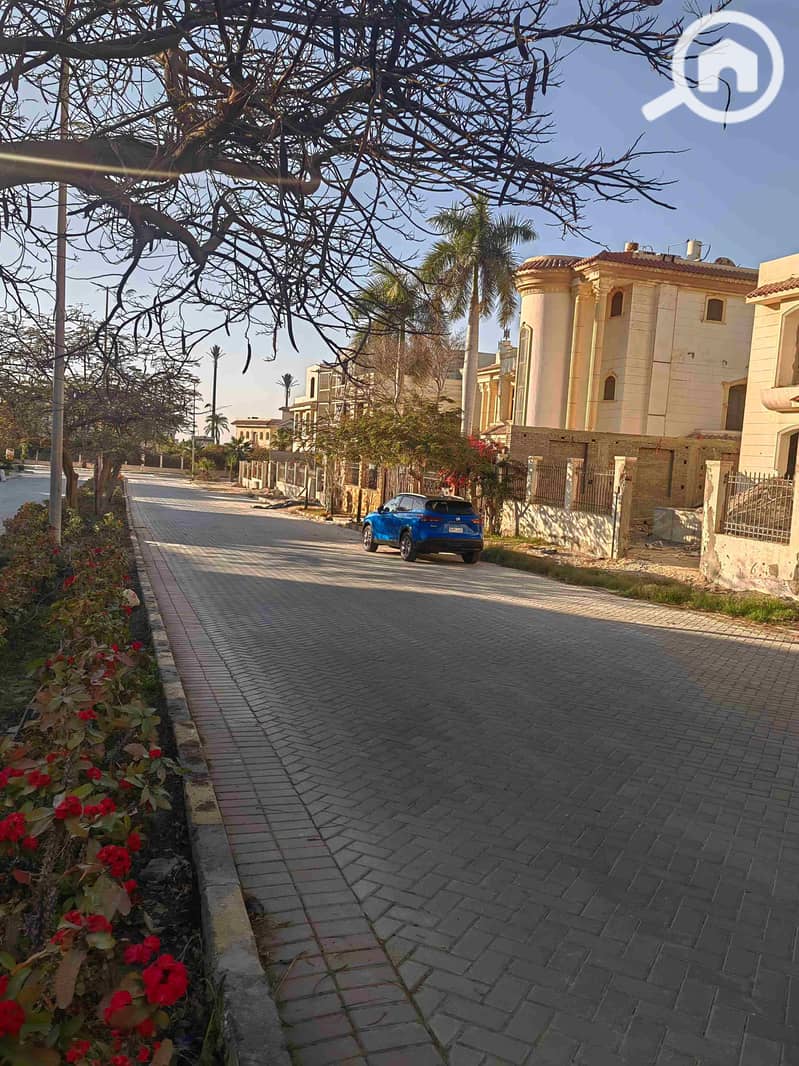 8 IMG_20250311_164420. jpg