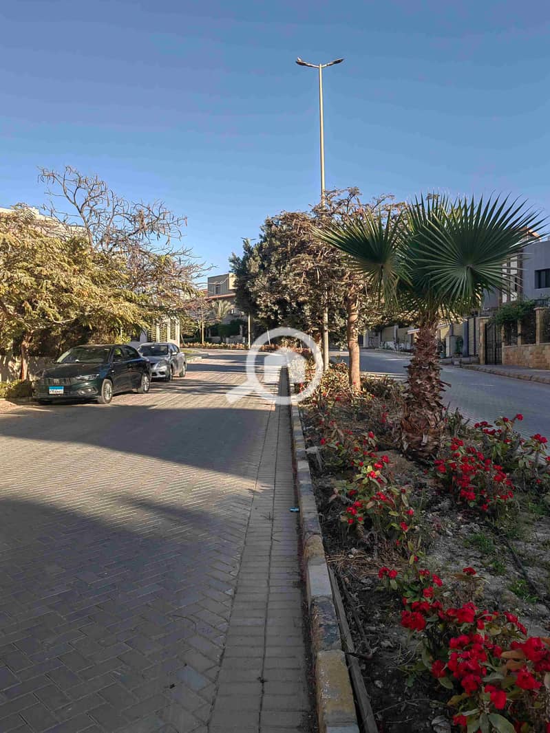 10 IMG_20250311_164431. jpg