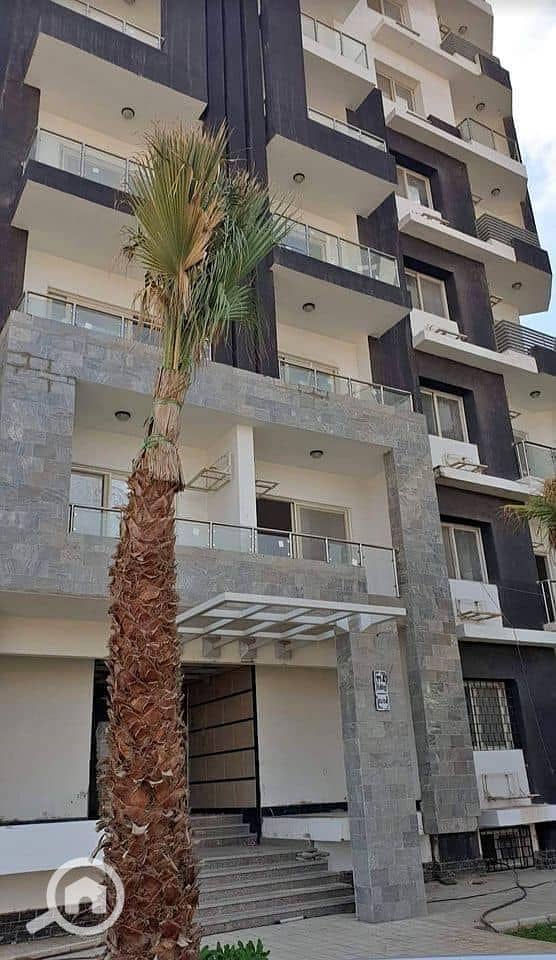 3 464625572_2153001125094569_585491171977988022_n. jpg