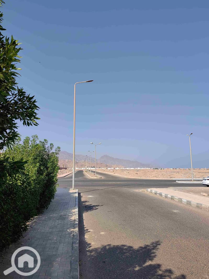 10 IMG_20251106_131935. jpg