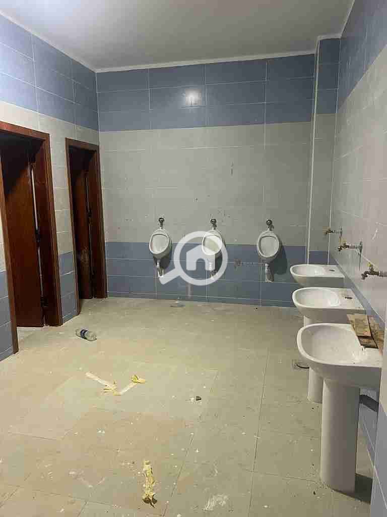 11 IMG-20251111-WA0029. jpg