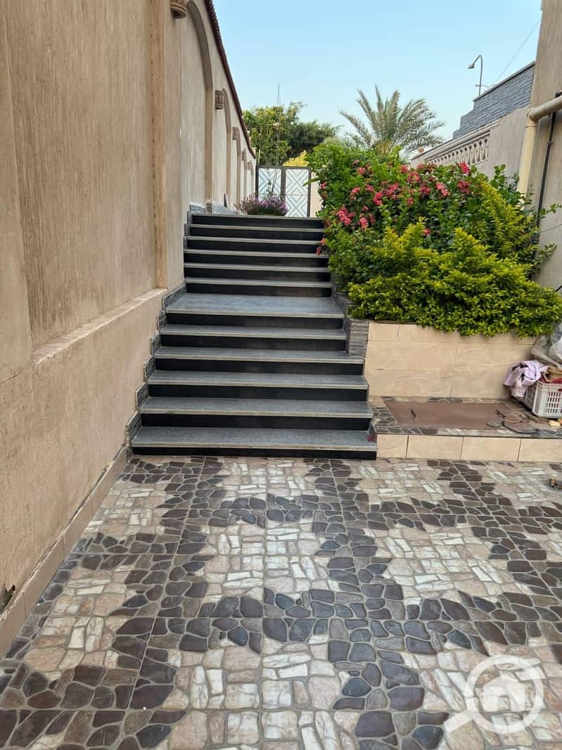 6 33e1953f-220b-4844-b6c9-a04409aded14. jpg