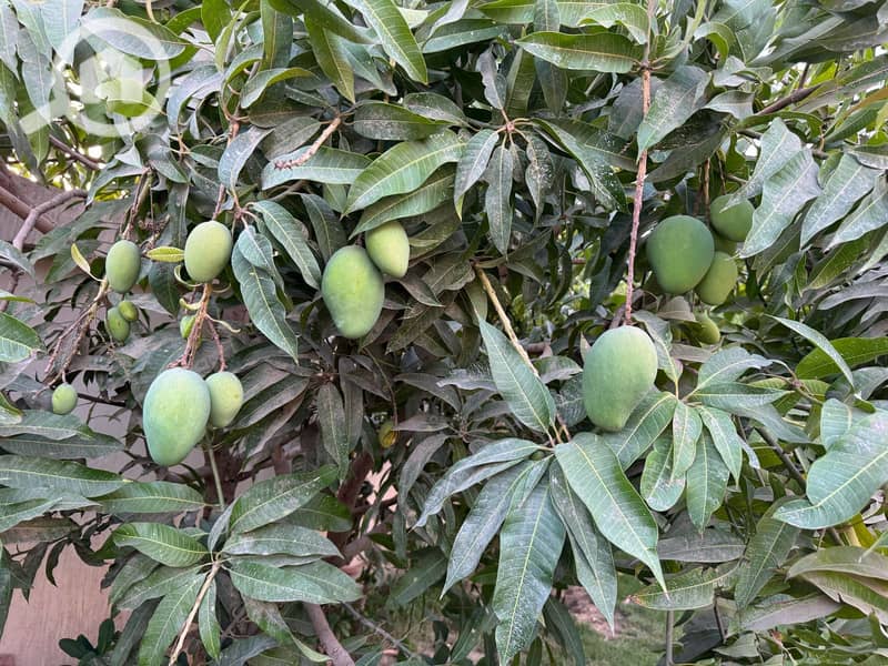 9 d8ddcc7b-68ff-4675-b3fd-d6b41d8c6f8a. jpg