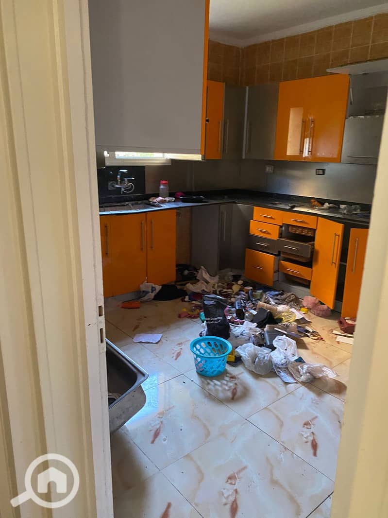 7 3733adb0-bde0-4aa1-8c00-ae8f82be426c. jpg