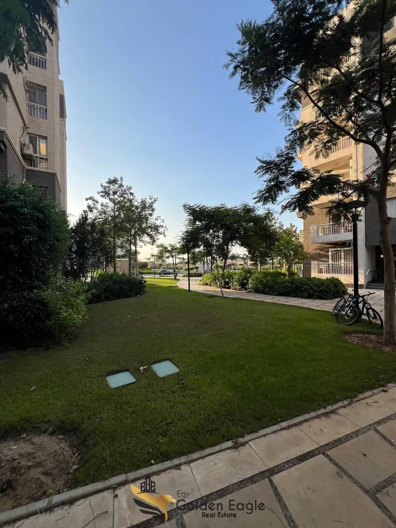 15 558933894_1480301889867005_2535494727658463789_n. jpg