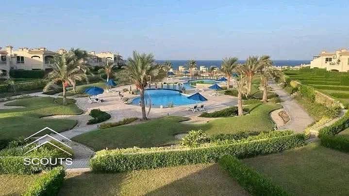 12 486464544_122122285844753433_6659631343110421146_n. jpg