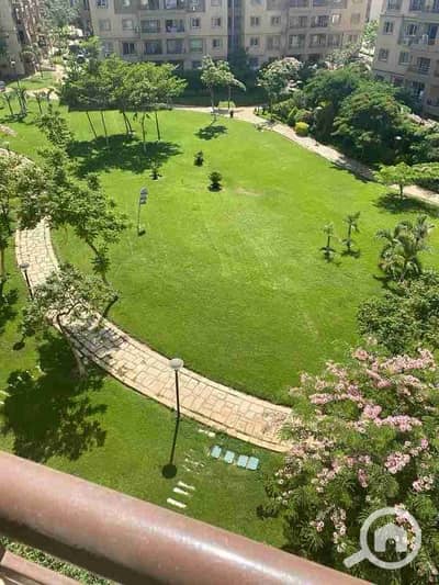 3 Bedroom Apartment for Rent in Madinaty, Cairo - 1000008829. jpg