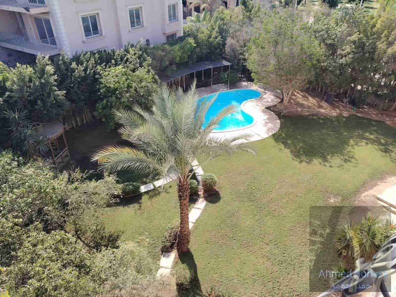 6 IMG-20251109-WA0011. jpg