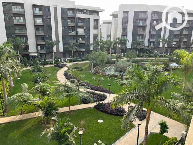 1000484981. jpg 1000484981. jpg