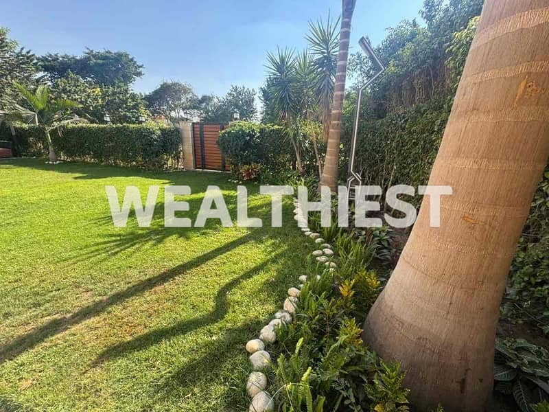 15 33cd9d30-74da-4729-a025-ef0f89957cc6. jpg