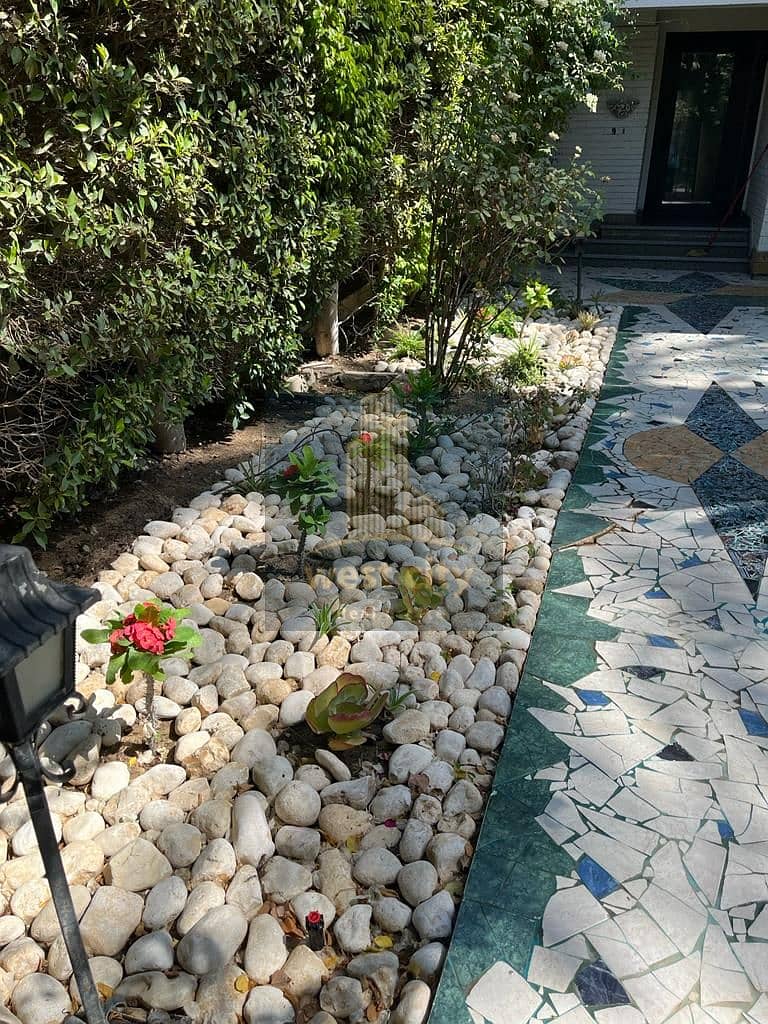 3 IMG-20251112-WA0045. jpg