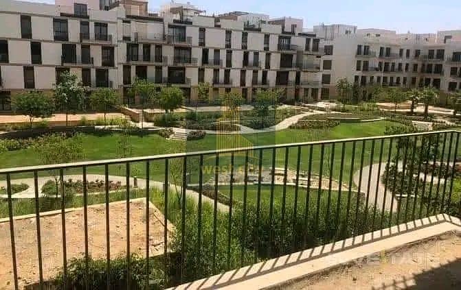 10 1763136775840. jpg