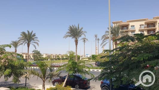 3 Bedroom Apartment for Rent in New Cairo, Cairo - WhatsApp Image 2025-11-14 at 4.00. 16 PM (1). jpeg