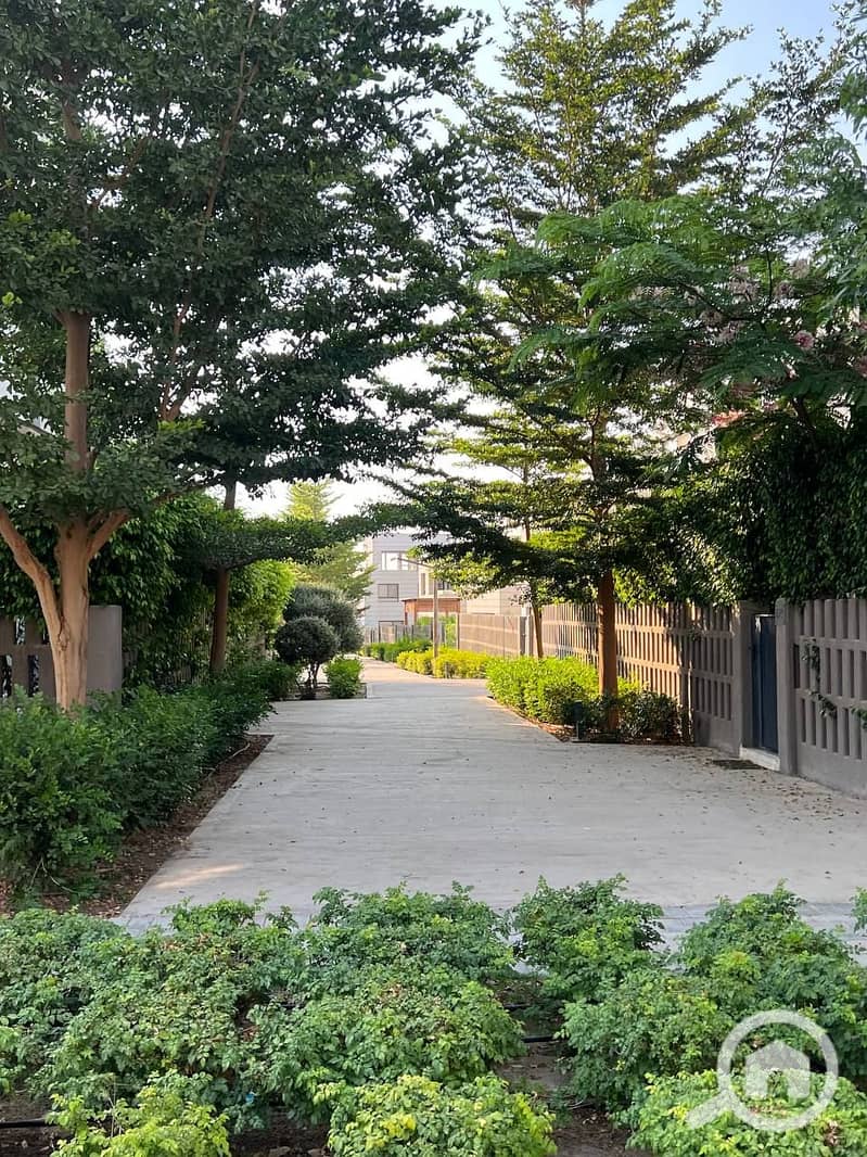 10 photo_2025-07-14_23-09-26. jpg