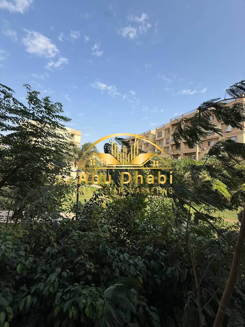 10 eb7759ce-a6a2-467c-83dd-d017e1c2932d. jpg