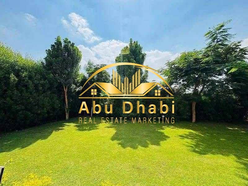 4 cfb08b87-e061-49ff-bf71-1f03e40f4fde. jpg