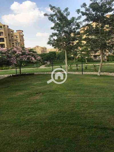 2 Bedroom Flat for Rent in Madinaty, Cairo - 1000159773. jpg