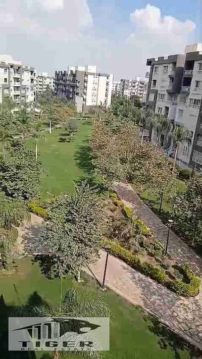 4 Bedroom Flat for Rent in Madinaty, Cairo - 1000400710. jpg