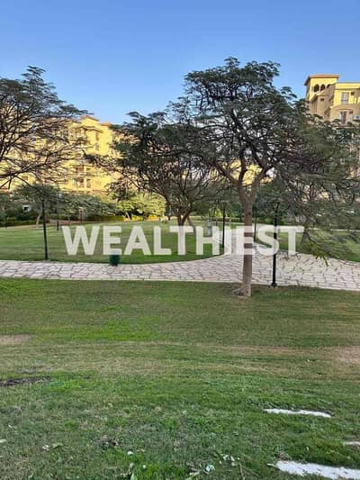 3 Bedroom Apartment for Rent in Madinaty, Cairo - 802cfed9-e6c5-4a34-a76f-1075d23f9c6c. jpg 3 Bedroom Apartment for Rent in Madinaty, Cairo - 802cfed9-e6c5-4a34-a76f-1075d23f9c6c. jpg