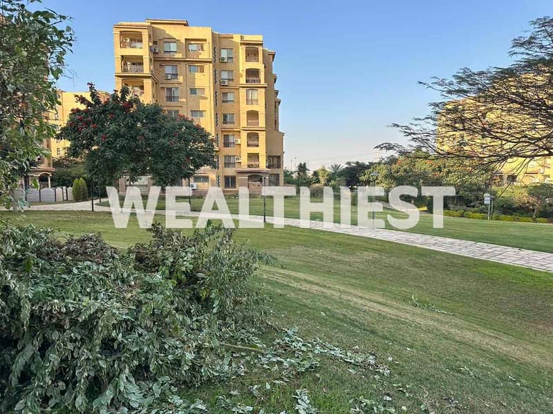 2 990a5de1-fddb-4d72-a4ba-91db2f7e066e. jpg