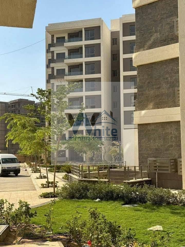 8 543034383_3201569290020070_2061323982195606704_n. jpg