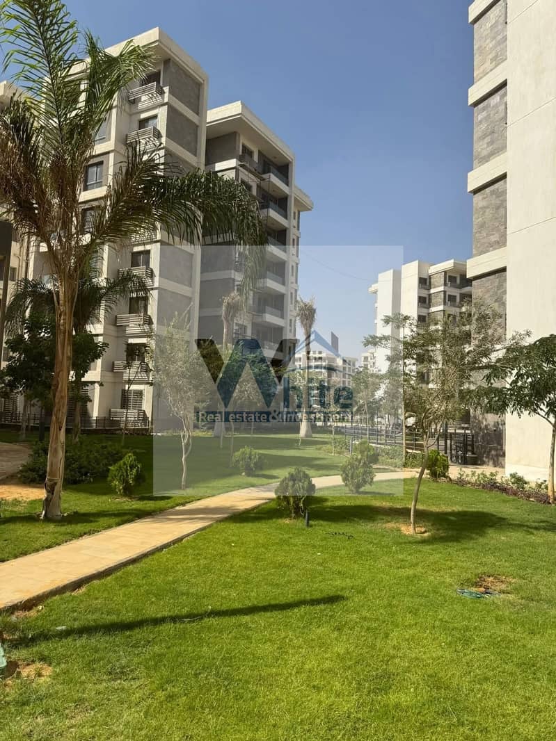 5 547942628_3213201335523532_4105780439414056067_n. jpg