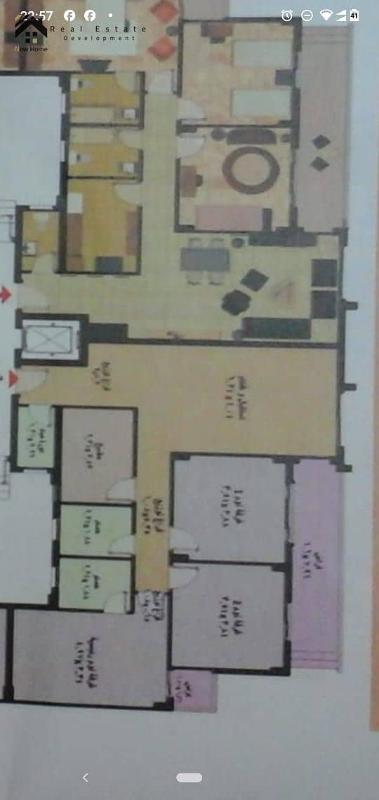 4 WhatsApp Image 2025-10-14 at 16.59. 08_21916c13. jpg