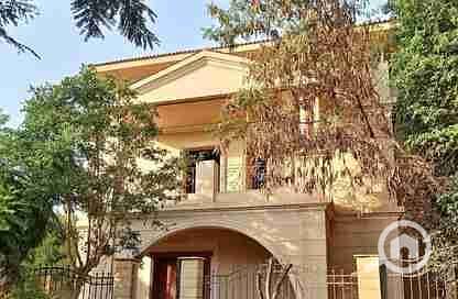 7 7806197-7ea2eo. webp